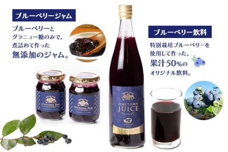 果汁50％ブルーベリー飲料1本＆ブルーべリ－ジャム2個セット ブルーベリー ジュース ジャム ブルーベリージャム ブルーベリージュース フルーツ ビタミンE ドリンク 栄養 目にいい 美容 ギフト 贈り物 茨城県産 セット 詰め合わせ お祝い 美味しい 9-K