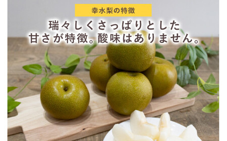 【数量限定 / 夏季限定】 梨（幸水） 約5kg 梨 なし ナシ 日本梨 こうすい コウスイ 17-C 【8月中旬～下旬発送予定】