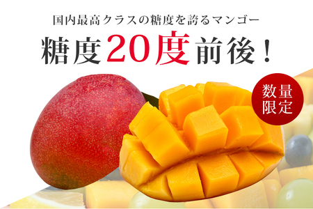 【数量期間・季節限定】 『グッド！モーニング』で紹介 おみたんマンゴー約450g 数量限定 期間限定 先行予約 完熟 マンゴー 国産フルーツ 果物 くだもの 【7月20日～8月末まで順次発送予定】 19-D