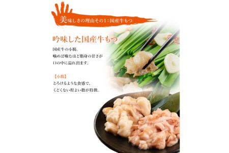 もつ鍋 【九州名物とめ手羽】 博多もつ鍋 セット 5～6人前 九州しょうゆ味 モツ鍋 国産牛 / フェリックス / 福岡県 筑紫野市 [21760208]