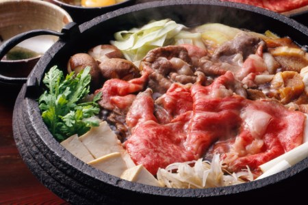 訳あり 博多和牛 A4以上 しゃぶしゃぶ すき焼き スライス 250g & 切り落とし 500g 計750g【部位おまかせ】/ MEAT PLUS / 福岡県 筑紫野市 [21760211]