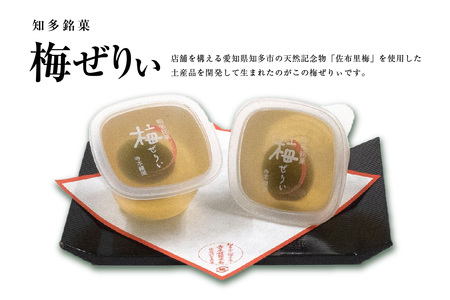 知多銘菓　梅ぜりぃ　6ヶ入 和風ゼリー うめ ウメ 梅の菓子 梅ゼリー フルーツゼリー 和菓子 梅肉 佐布里梅 おやつ スイーツ デザート ご褒美 グルメ 食べ物 お土産 手土産 土産 ご当地 国産 お取り寄せ 愛知県 知多市 特産品