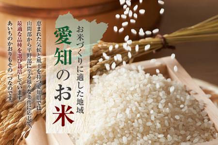 知多米 あいちのかおり5kg お米 白米 うるち米 おこめ 国産 精米 ご飯 おにぎり 朝ごはん ライス 和食 日本食 主食 食卓 お弁当 大粒 つや あっさり 食品 知多半島 お取り寄せ 5キロ 愛知県 知多市 特産品