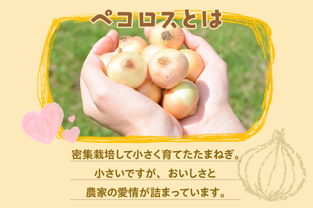 ★先行予約★知多ペコロス ミニ玉ねぎ タマネギ たまねぎ ペコロス 野菜 特産 愛知県 知多市