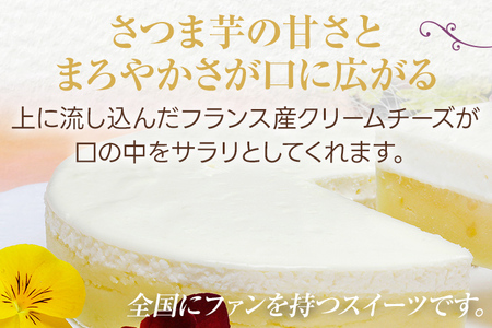 【ご自宅用】おいもっち（ホールタイプ） 無添加 手作り さつまいも チーズケーキ スイーツ