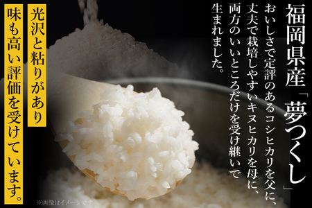 令和7年産 夢つくし 勝山米 種類を選べる ＜特別栽培 勝山米5kg＞ 福岡県産 特別栽培米