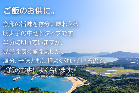 海千の「徳用明太子セット（小切れ）」無着色 500g×2
