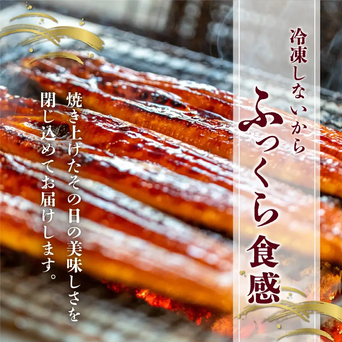 うなぎ蒲焼き 400g (200g×2尾) 