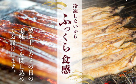 うなぎ 蒲焼き 白焼き 食べ比べセット 400g (200g×各1尾) 