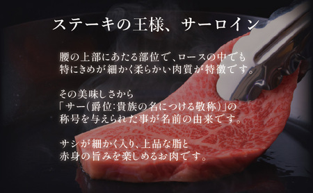 佐賀牛サーロインステーキ 500g (250g×2枚)