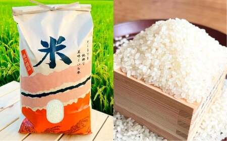 【令和7年産】白米 倉敷市産 ヒノヒカリ10kg【2026年7月上旬迄順次発送予定】【お米 米 おこめ こめ コメ 白米 ヒノヒカリ 特産品 国産 岡山県倉敷市産 岡山県 倉敷市 人気 おすすめ】