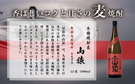 定期コース3回　本格焼酎麦「尾鈴山 山猿(25度)」1800ml×2本【尾鈴山蒸留所】 K09_T003_3