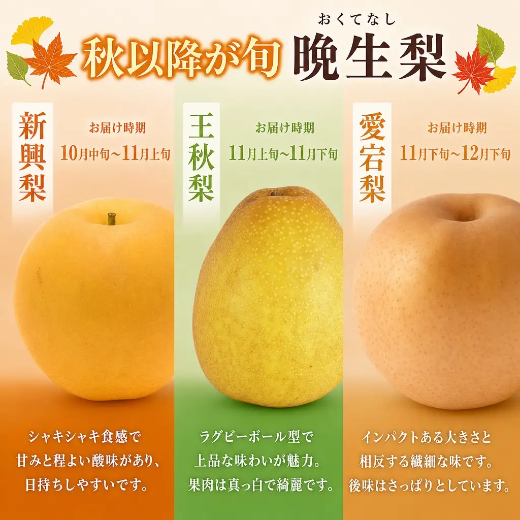 【2026年産】先行予約 梨 晩生梨 （ 新興梨 王秋梨 愛宕梨 のいずれか ） 3kg 5～9玉 【令和8年10月中旬以降発送予定】 フルーツ 果物  12-06