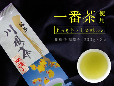11-51 上煎茶　川根茶「初摘」セット 200ｇ×3袋