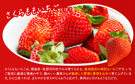 さくらももいちご 4パック 佐那河内村限定いちご
