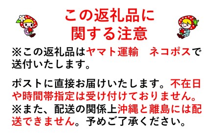 J17　昔ながらの市田柿　約170ｇ×4袋