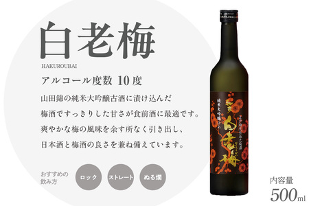 知多の梅酒「白老梅」純米大吟醸　2本セット お酒 リキュール 佐布里梅 梅酒 澤田酒造 特産品 贈り物 ギフト 晩酌 宅飲み 家飲み 純米大吟醸 白老梅 日本酒 高級 愛知県 知多市