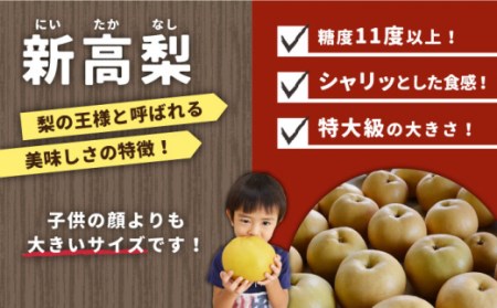 【2026年9月中旬?発送】【シャリッと食感がたまらない！】新高梨 2玉 / 梨 なし 南島原市 / ふるさと企画 [SBA007]