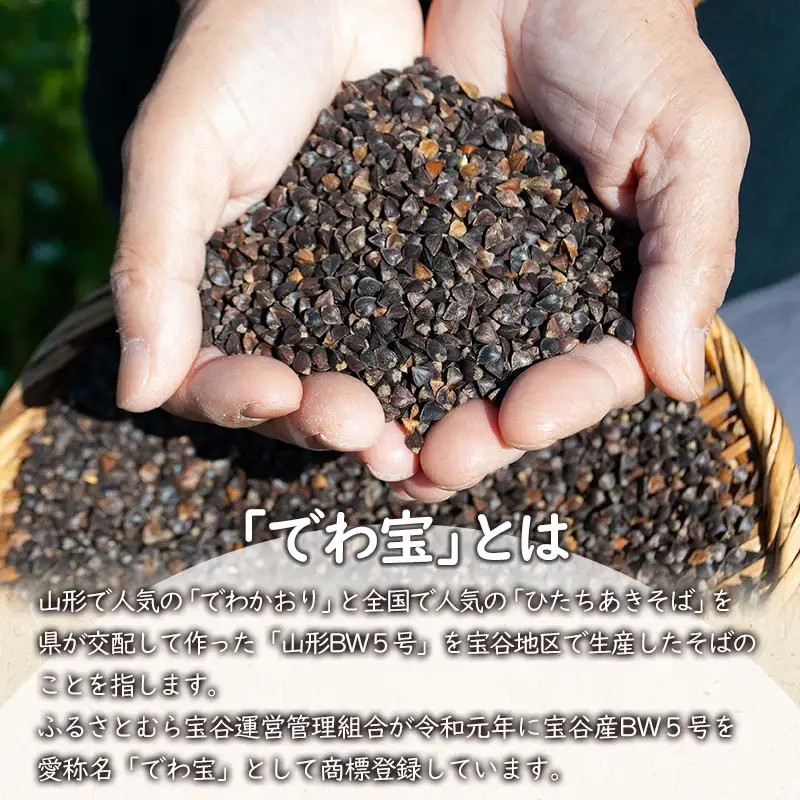 鶴岡市宝谷産「でわ宝」宝谷そば（乾麺）200g × 6袋