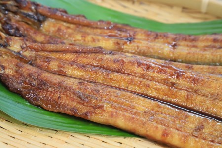 【愛知県三河一色産】活うなぎの蒲焼き 1尾（約150g）（11-53）