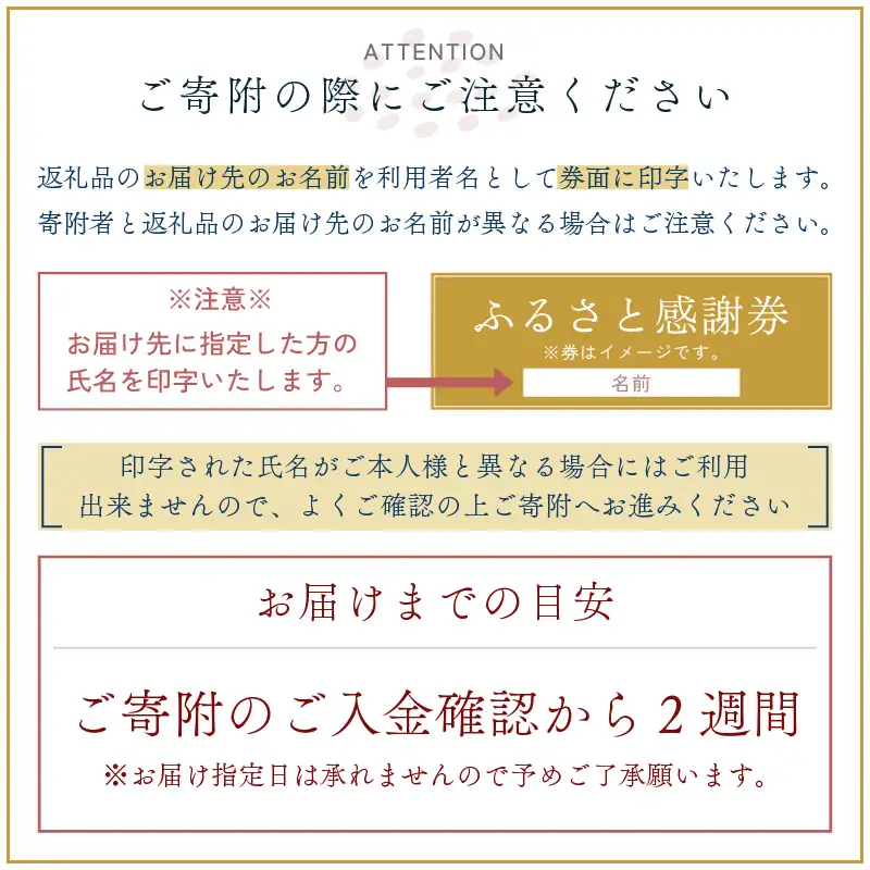 越前町ふるさと感謝券（10,000円分）【宿泊 レジャー アウトドア BBQ 体験型 宿泊券 福井県】 [e05-c001]