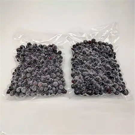 冷凍ブルーベリー1kg(500g×2パック)_果物・フルーツ ブルーベリー  _【配送不可地域：離島】【1108080】