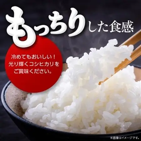 令和7年産かすみがうら市産コシヒカリ  精米  5kg_茨城県産 こしひかり 5kg 米 ご飯_【1268974】