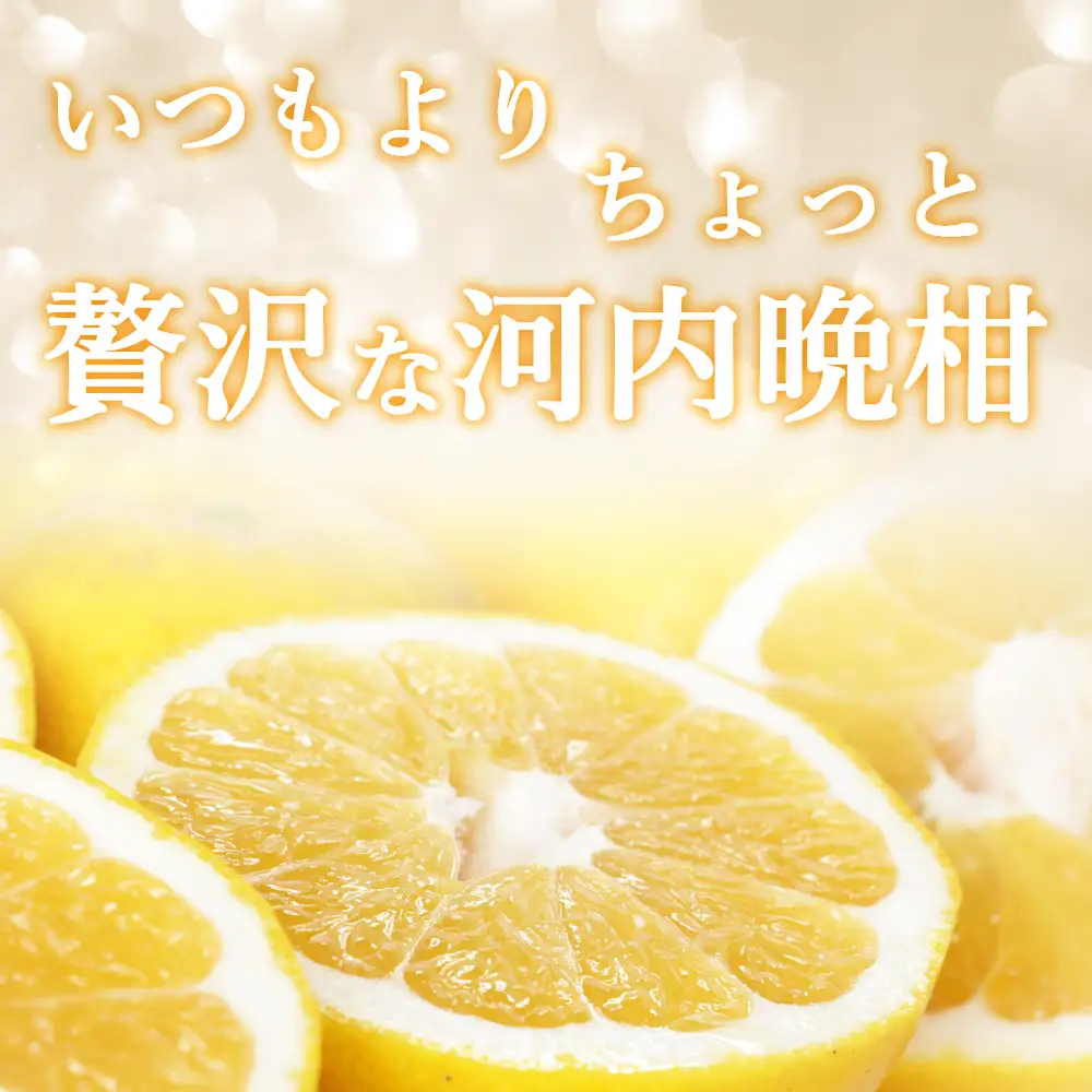 プレミアム 河内晩柑 5kg 河内晩柑 清家ばんかんビレッジ