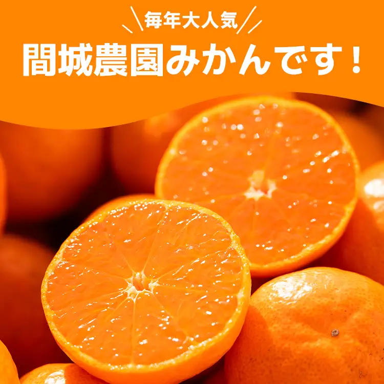 山のてっぺん間城農園のみかん 3kg【みかん 山のてっぺんみかん 間城農園みかん 甘いみかん みかん 山北地区のみかん 香南市】 ms-0083