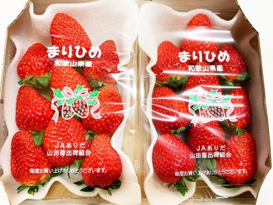 紀州和歌山ブランドいちご「まりひめ」約280g×2P