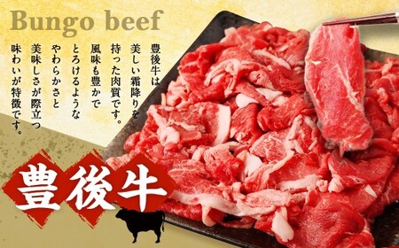 大分県産 ブランド牛 ・ 豚 豊後牛 × 九重夢 ポーク 切り落とし 1.35kg セット