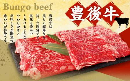 大分県産 ブランド牛 ・ 豚 豊後牛 × 九重夢ポーク スライス 約1.6kg セット