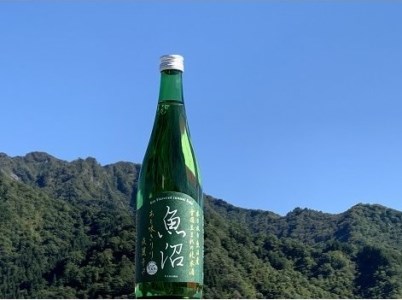【地酒】 酒屋の特選 詰合せ コシヒカリ 3kgと 白瀧 純米酒 720ml 1本、魚沼 純米酒 淡麗辛口 720ml 1本のセット SK3