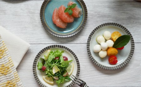 【美濃焼】MALREマルレ プレート4サイズ3色12点セット【EAST table】[MBS081]