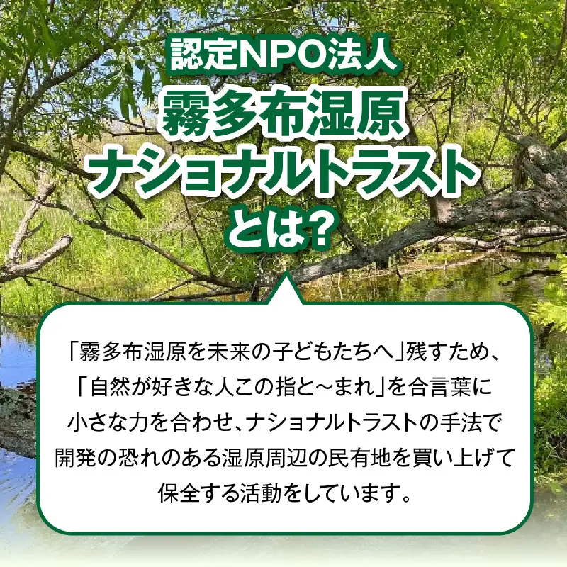 霧多布湿原を中心とする環境保全活動への寄附　霧多布湿原を中心とする環境保全活動への寄附 10,000円 寄附 支援 寄付のみ 返礼品無し 寄付金 霧多布湿原 国定公園 花の湿原 景観保全 動植物の保全 湿原を再生 環境 保全 活動 調査研究事業 地元 町内 NPO法人 ナショナルトラスト 北海道 浜中町_270201