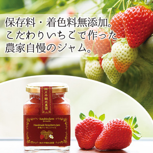 No.008 手造りイチゴジャム(約200g×10本) 国産 九州産 鹿児島県産 いちご イチゴ 苺 ジャム フルーツ 果物 手作り 手造り 調味料 小分け 贈答 プレゼント 保存料無添加 着色料無添加【片平観光農園】
