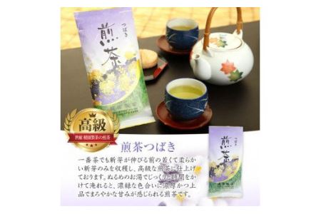 No.014 煎茶セット(雅)【世献 榎園製茶】