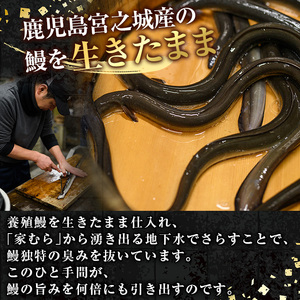 No.198 鹿児島県産鰻の味わいセット！うなぎの炭火蒲焼(1尾・タレ付)＆うなぎ炭火白焼き(1尾・生わさび付)自慢の出汁巻き卵付き！ 国産 九州産 鰻 ウナギ うな重 うな丼 蒲焼 白焼き 卵焼き 出汁巻き 出汁巻きたまご 炭火焼 おかず お土産 セット冷凍【家むら】