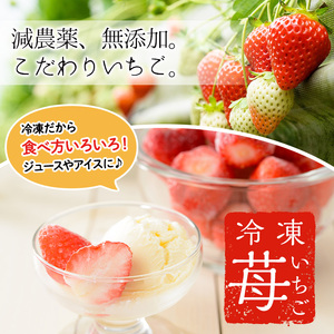No.298 冷凍いちご(計約2kg・約1kg×2) 国産 九州産 苺 いちご イチゴ 冷凍 果物 フルーツ 減農薬 アイス【片平観光農園】