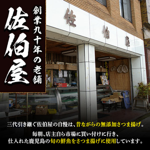 さつま揚げ セット 4種 計18～20個 さつまあげ 【佐伯屋】 2026年5月発送分 土日祝着 No.312-02