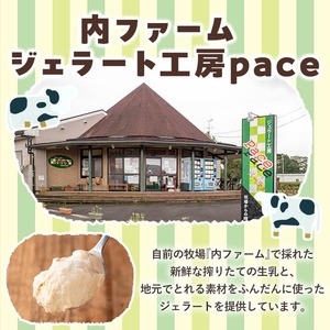 No.314-01 ＜平日着＞paceのアイスクリームセット！(計8個・6種) アイス アイスクリーム ジェラート ミルク お茶 チョコレート 黒糖 季節 フレーバー 冷凍 詰め合わせ 詰合せ セット デザート スイーツ おやつ 贈答 ギフト 【内ファーム ジェラート工房pace】