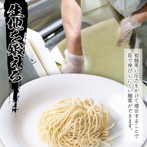 No.398 ＜訳あり・業務用＞生ラーメン (150g×5食×4袋・計3kg・とんこつ2種類×各10袋付)【福山食品】