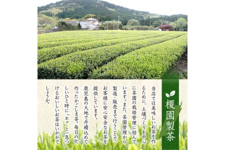 No.616 鹿児島県産の煎茶セット「かえで」かえで(100g×5袋)と粉末緑茶(1袋)【世献 榎園製茶】
