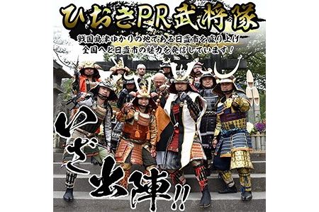 No.748-A イメージ創作鎧(島津義久公)！ひおきPR武将隊着用モデル等身大鎧＜B＞大鎧 鎧兜 兜 鎧 かぶと 国産【剣画堂】