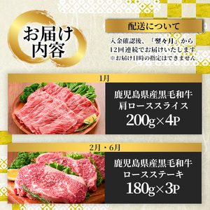 No.754 ＜定期便・全12回(連続)＞お楽しみ！大人気の返礼品定期便(全12回・ステーキ、ハンバーグ、ローストビーフなど)牛肉 黒毛和牛 スライス すき焼き しゃぶしゃぶ 焼肉 BBQ キャンプ 頒布会 A5 A5ランク 冷凍 ギフト 贈答【LRプラスK】