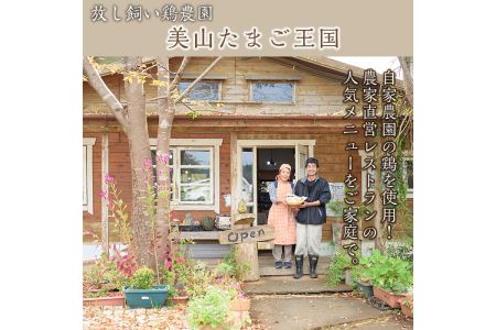 No.758 鹿児島の伝統料理、鶏飯6袋セット(250g×6袋・計1.5kg)【美山たまご王国】