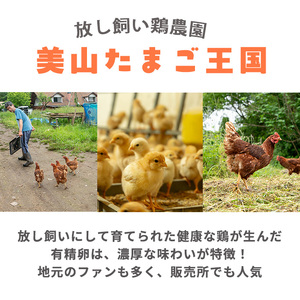 No.781 ＜定期便・全6回(連続)＞鹿児島県産有精卵(40個×6ヶ月連続) 割れ保証付 国産 九州産 鹿児島県産 たまご タマゴ 有精卵 卵 鶏卵 生卵 おかず TKG 卵かけご飯 朝食 定期便 頒布会 数量限定【美山たまご王国】