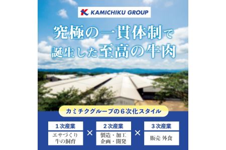 訳あり お肉屋の肉袋 お楽しみ福袋 合計1kg以上 賞味期限間近 カミチク No.834