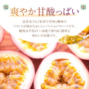 【 2026年 先行予約 】 それいゆ パッションフルーツ 1kg A006-001 果物 フルーツ パッション それいゆパッションフルーツ トロピカルフルーツ 南国フルーツ 先行受付 事前予約 事前受付 受付 予約 限定 芳醇 甘酸っぱい 完熟 農家直送 奄美大島産 ソレイユスマイル ふるさと納税 奄美市 おすすめ ランキング プレゼント ギフト