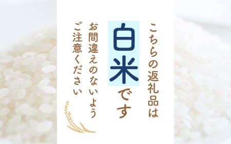 令和7年産 コシヒカリ 3kg 福井県産【白米】【  精米 こしひかり 人気品種】 [e30-a095]
